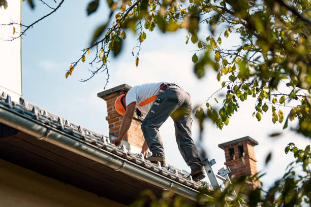 Best Roof Maintenance Services  in Bellaire, OH