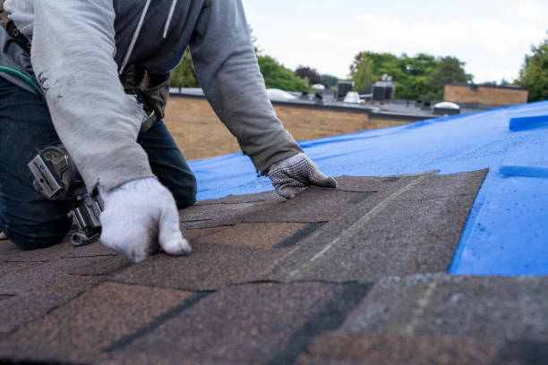 Best Storm Damage Roof Repair  in Bellaire, OH