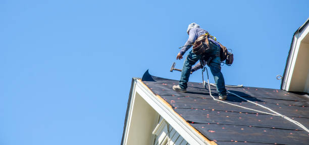 Best Roof Gutter Cleaning  in Bellaire, OH